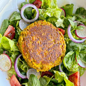 Vegetarian Burger Patties