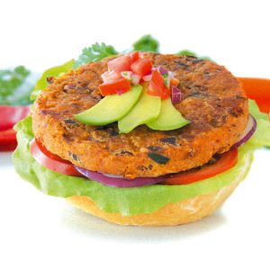 Vegetarian Burger Patties